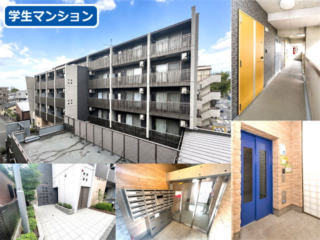 賃料66,000円